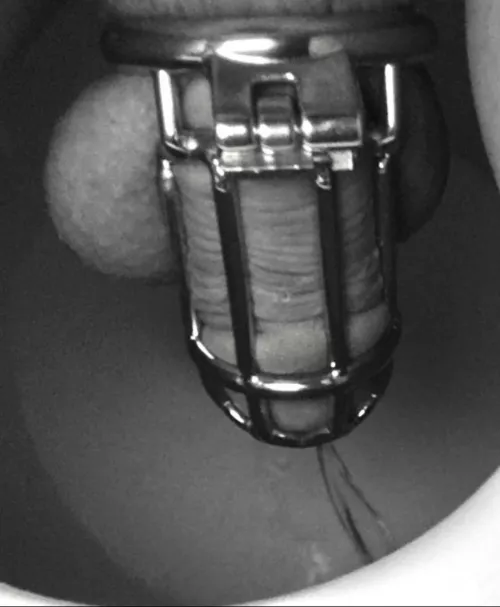 Even when I don’t make it to the gym I still do my “squats”