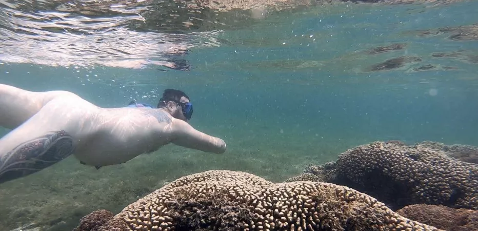 Every beach has the potential to be a nude beach