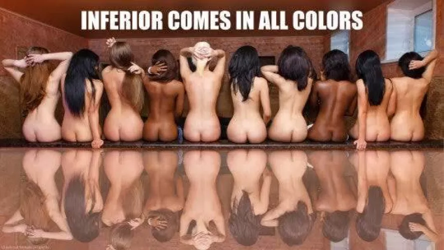 Feminism decries patriarchy and promises equality to all, like a good politician. Patriarchy actually treats all women equal, treats all women as usable and worthwhile objects, no matter the differences with the only exception that she knows her place an