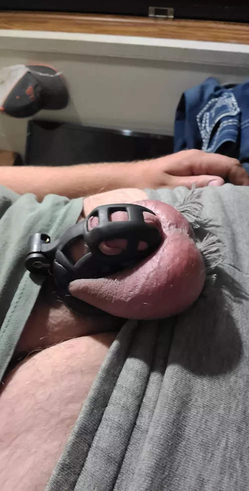 Finally received my new cage I ordered over a month ago