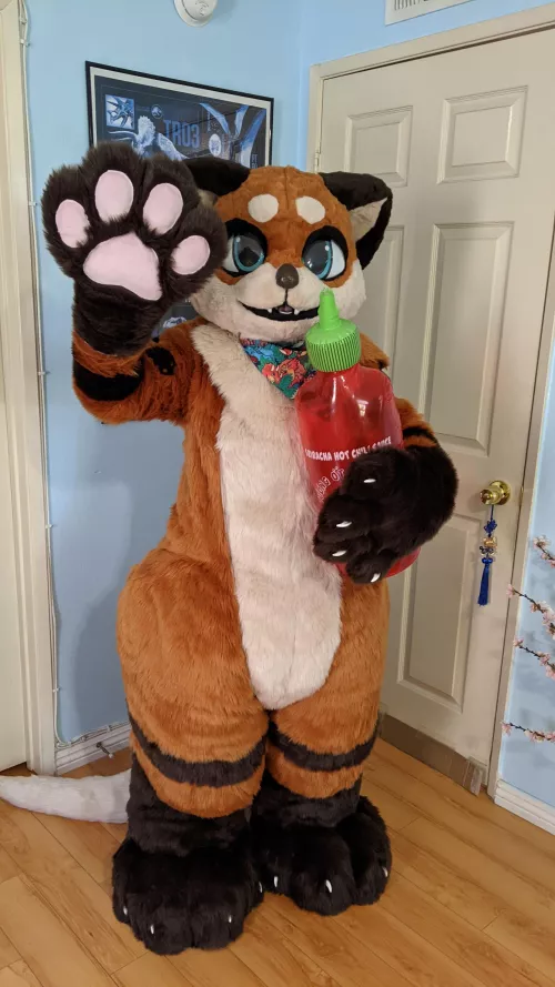 First ever suit arrived :3