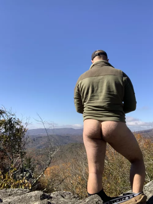 Found a nice quiet trail while hiking last week