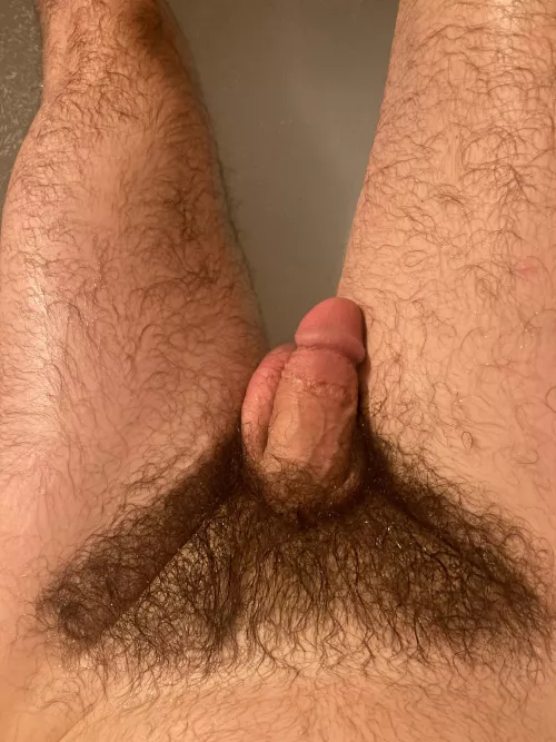 Full bush always, never shave never trim 👍