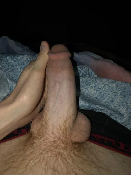 Ginger cock