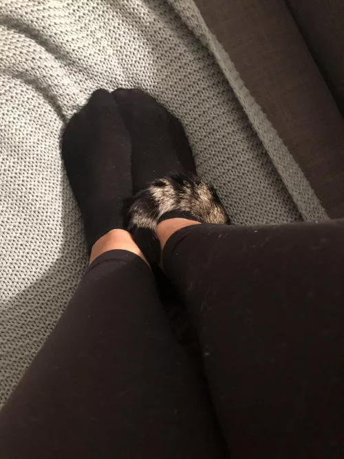 Girlfriend wanted to know what you think of her socks🖤