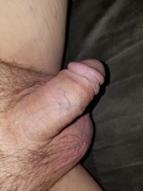 Go ahead.... thoughts?