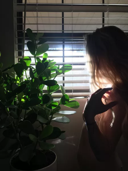 Gold and green…. Just missing the donuts