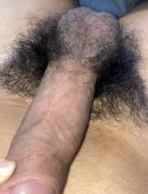 good night😉😉💤