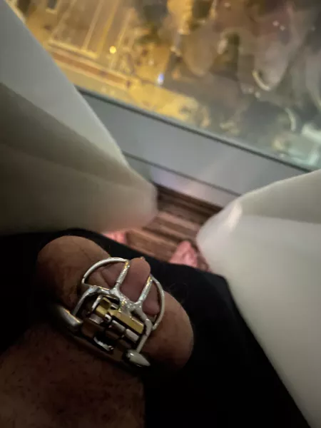 Got a new cage. Hope no one saw me take this photo.