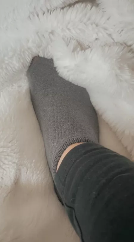 Grey sweaty socks