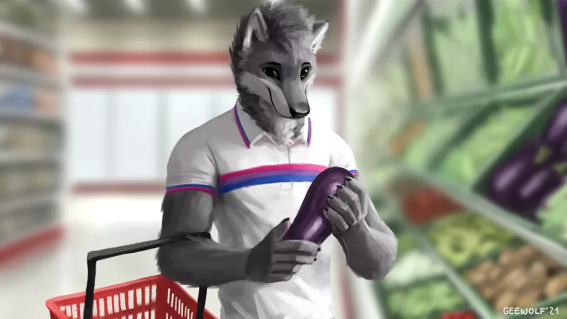 Groceries are fun :3 (by me for GhostWolf)
