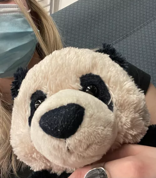 Had to take the train without daddy so I brought my co-pilot 🥰