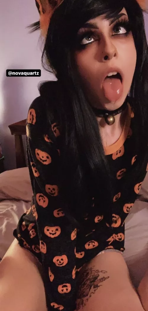 Halloween kitten🧡🖤