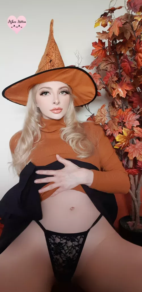 Happy Halloween 🍁🎃🍁