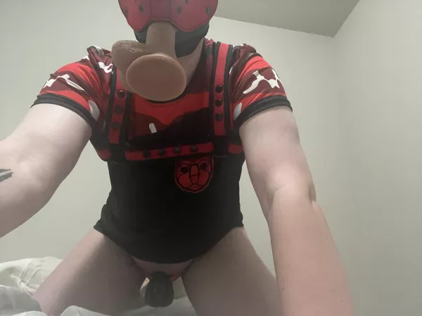 Happy locktober pups!