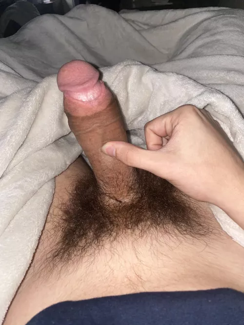 haven’t trimmed in 7 months