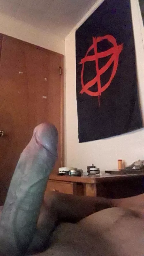 Hello first post tell me what you think 😉