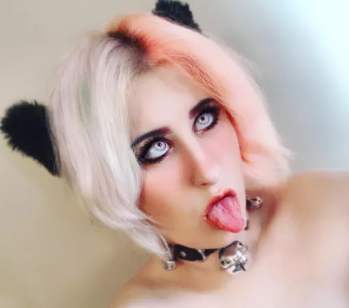 Hello, new here 😊😊