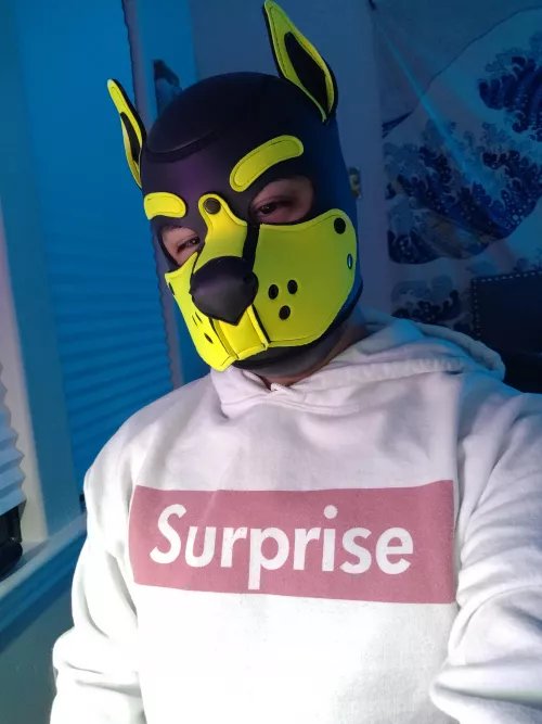 He's back with new gear 😜