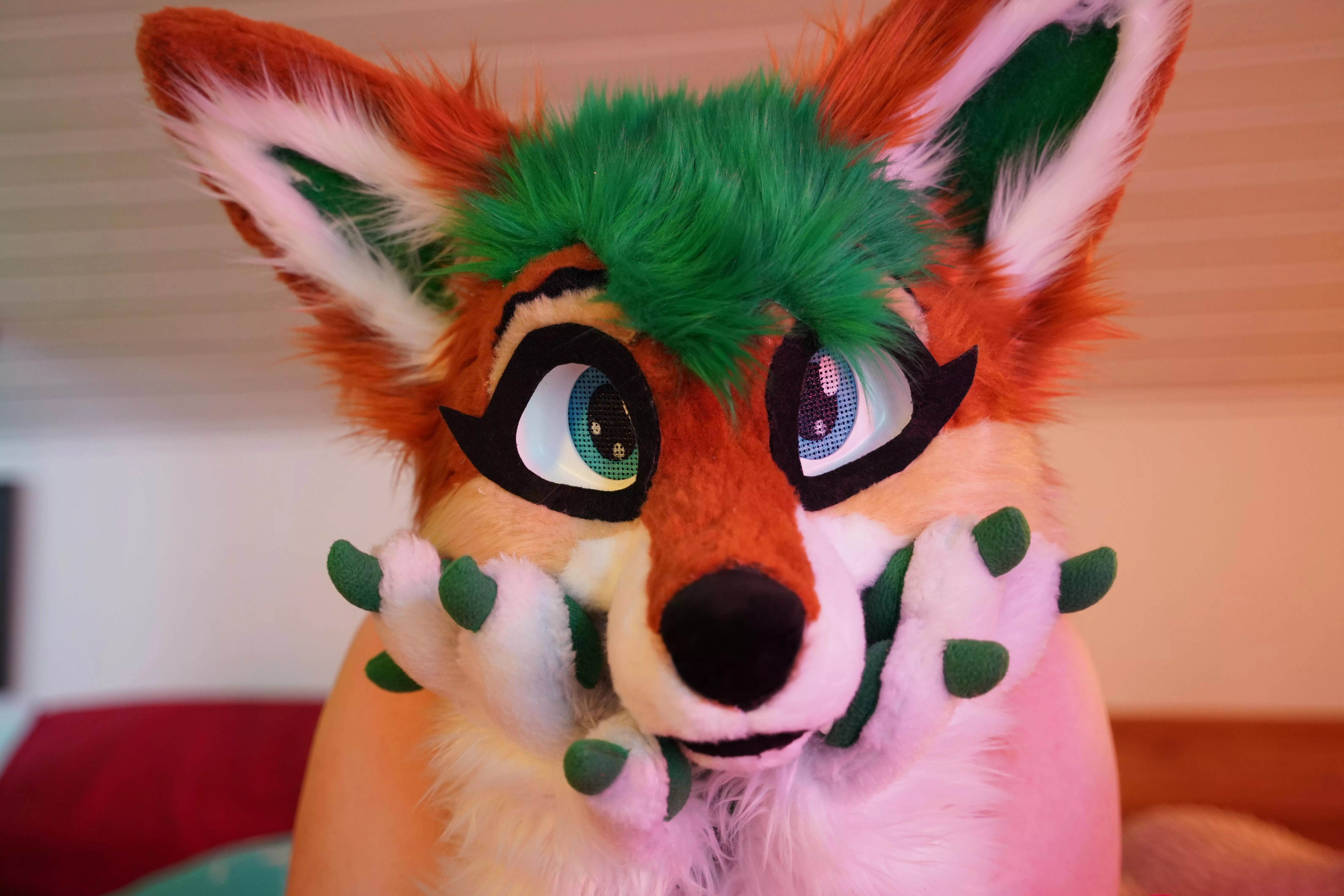 Hi, i'm absolutely new here on reddit and want to make some friends. My name is furry_foxxy and i'm a live streamer Hi, i'm absolutely new here on reddit and want to make some friends. My name is furry_foxxy and i'm a live streamer