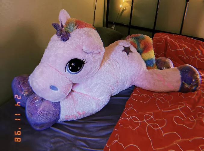 Hi 👋 New here! Any name suggestions for my newest stuffie? 🦄