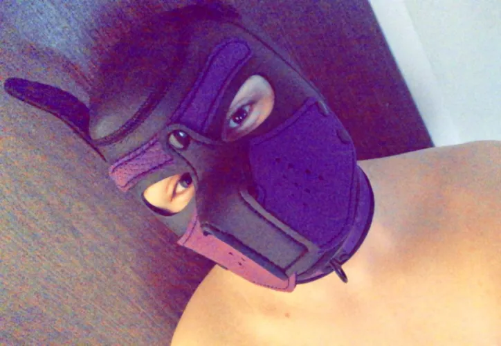 Hiya! Any advice for a new pup? (25M)