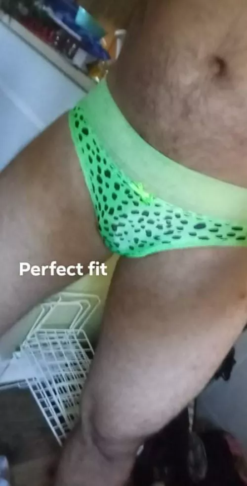 Holds everything in perfectly