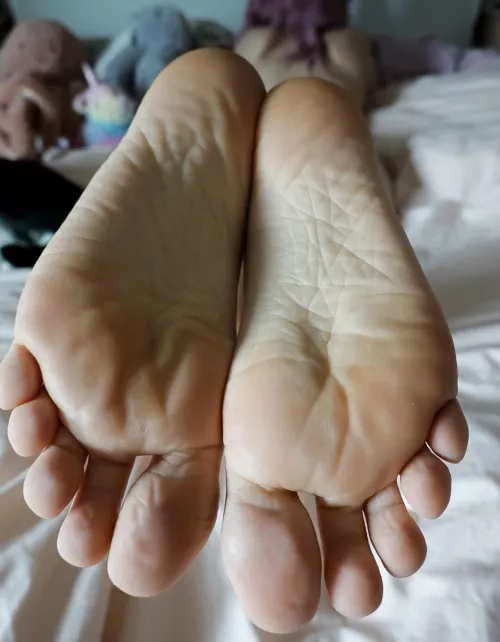 Hope this brightens up your Sunday