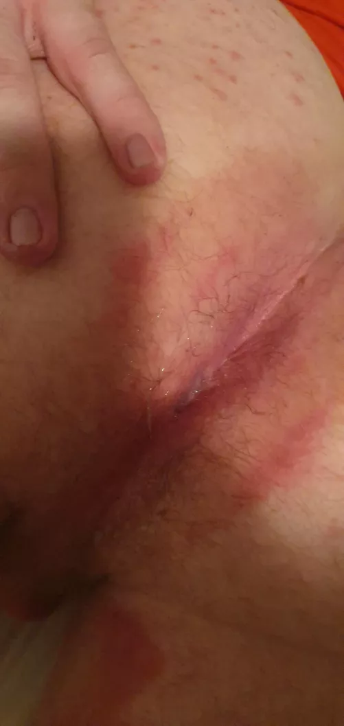 horny hole bred, 20m