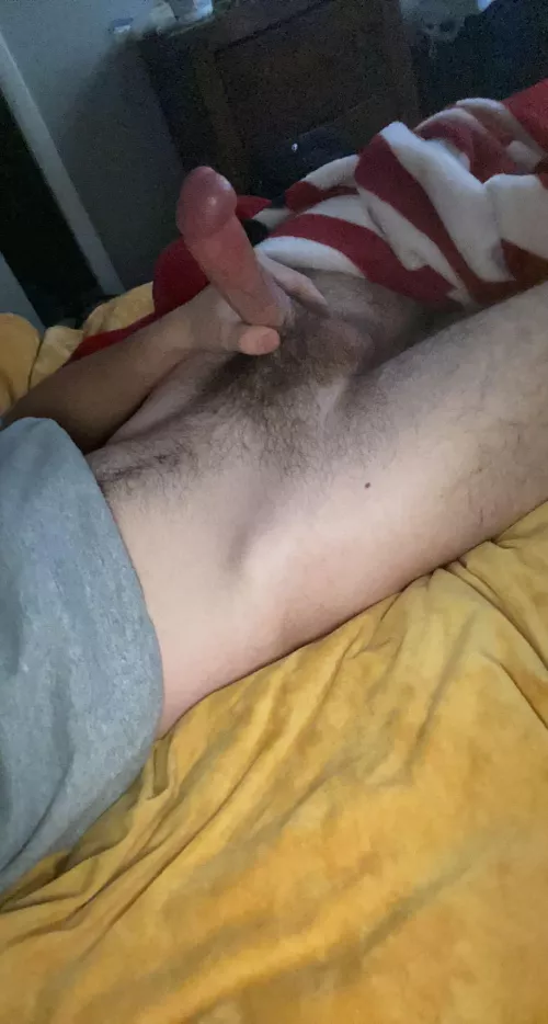 How are my pubes bros