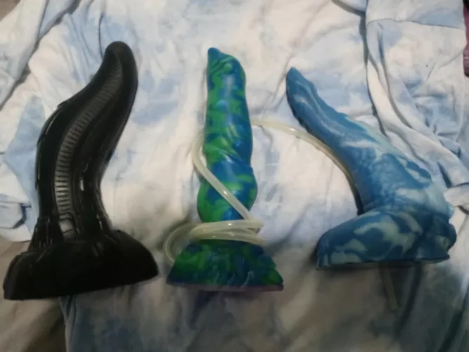 How is small Habu bigger than medium Roland and medium Tako? I've made a mistake.