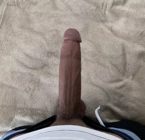 how’s my cock :)