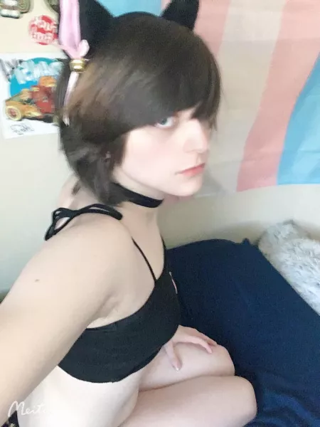 i can be ur catgirl 💕💕