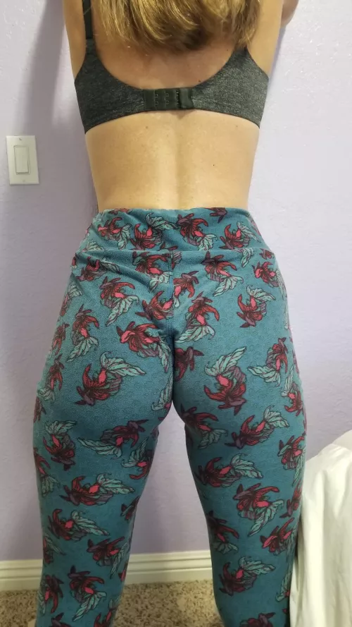 I cheated and pulled them up, is that okay🥺