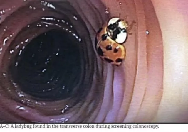 I don’t know how that got there, and I like it that way.