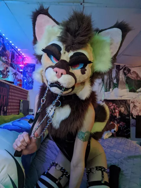 I haven't posted in a while so here is my new suit