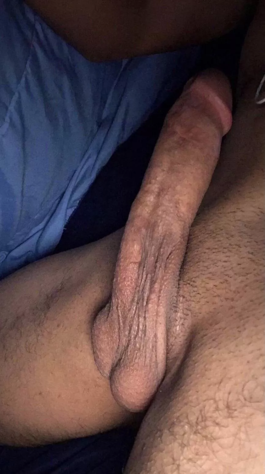 I may or may not have some low hangers 👀