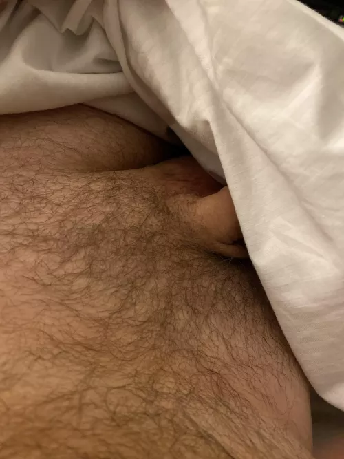 If it’s hairy and you like it…HMU