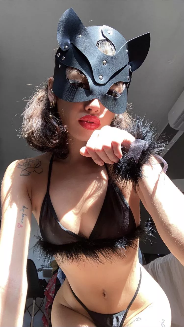 I’m a cat. Duh