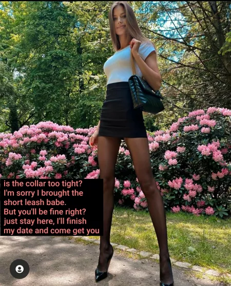 I'm tied to the bench waiting for my mistress to come back!