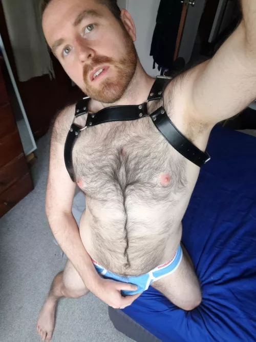 Is it wrong to put a leash on your bear? 🤨