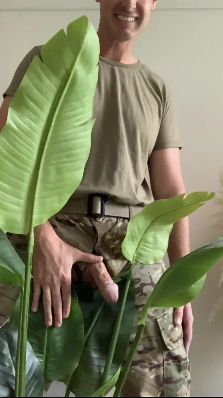 Is this camouflaged enough for you?