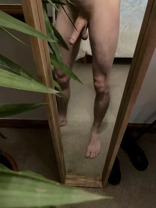 It’s a jungle out there.