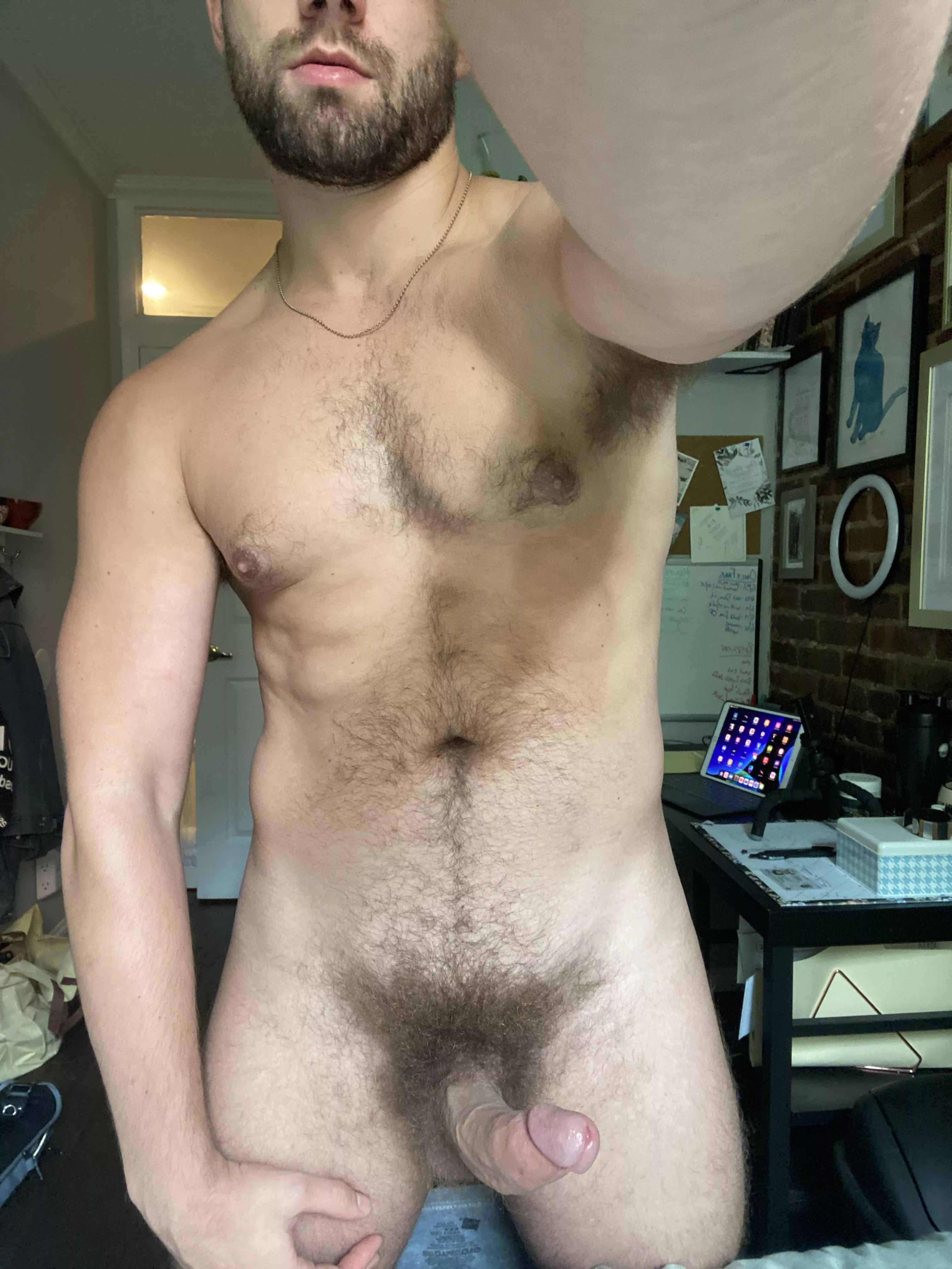 It’s got a nice curve, right?