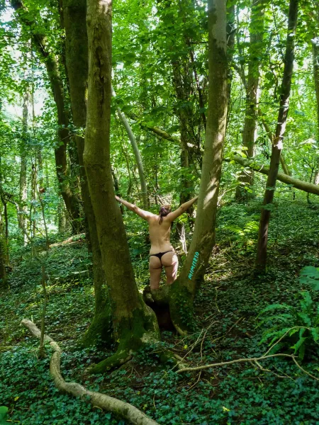 I've been lost in nature