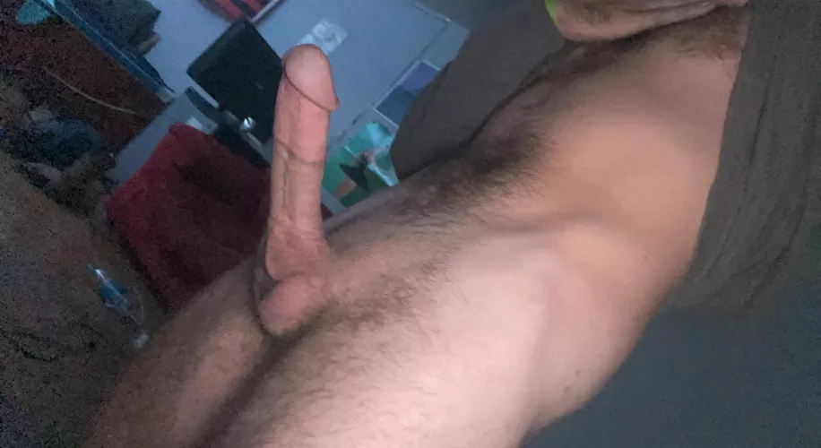 just a hung college boy, message me if it’s a 10 ;)