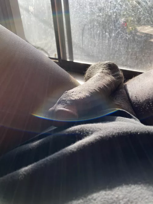 Just chillin with the sun