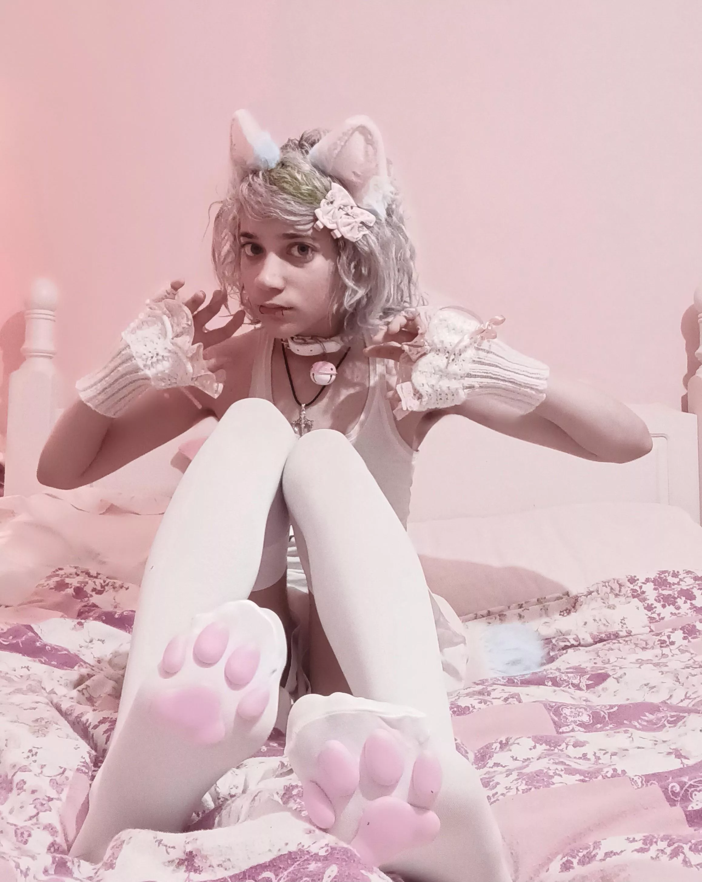 kitty beans! >.<