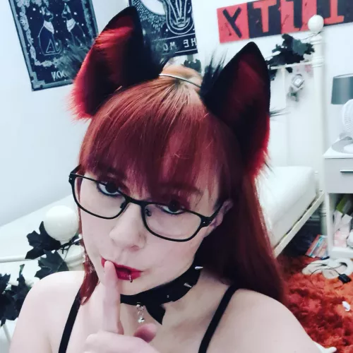 Kitty loves her new ears...do you agree? 😏