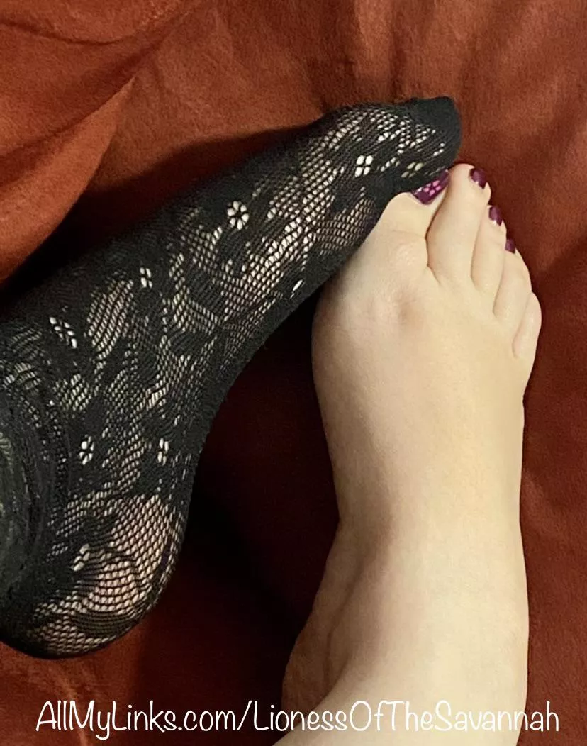 Lacy Fishnet Socks or barefoot?! π Maybe both? π Lacy Fishnet Socks or barefoot?! π Maybe both? π
